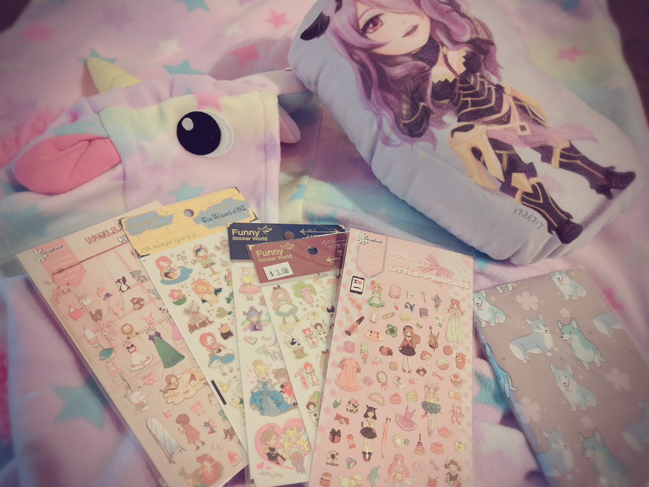 Kigurumi, stickers, corgi notebook, and Camilla pillow